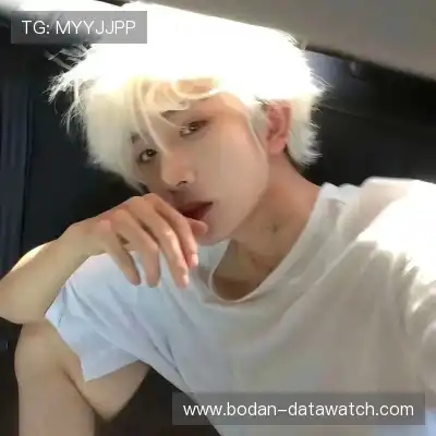 何鹰辉